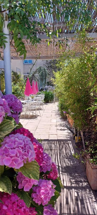 La Belle Vie B&B Montréal Eksteriør bilde